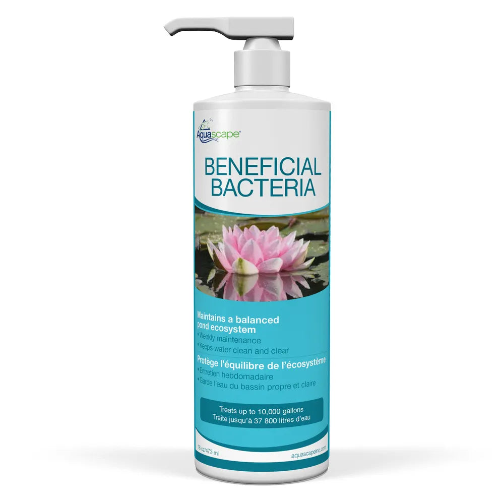 Beneficial Bacteria- 16 OZ/ 473 ML