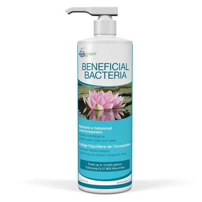 Beneficial Bacteria- 16 OZ/ 473 ML