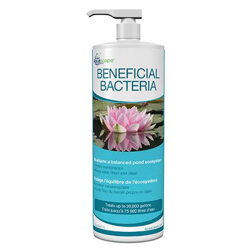 Beneficial Bacteria - 32 OZ/ 946 ML