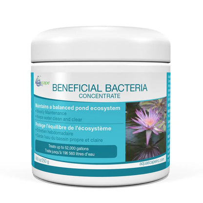 Beneficial Bacteria Concentrate- 8.8 OZ/ 250 G