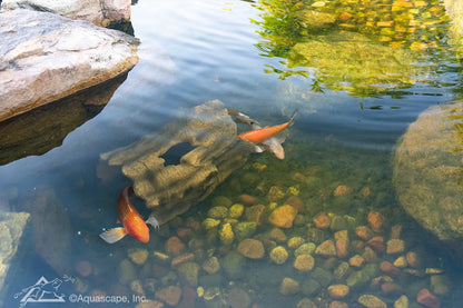 Faux Log Fish Cave